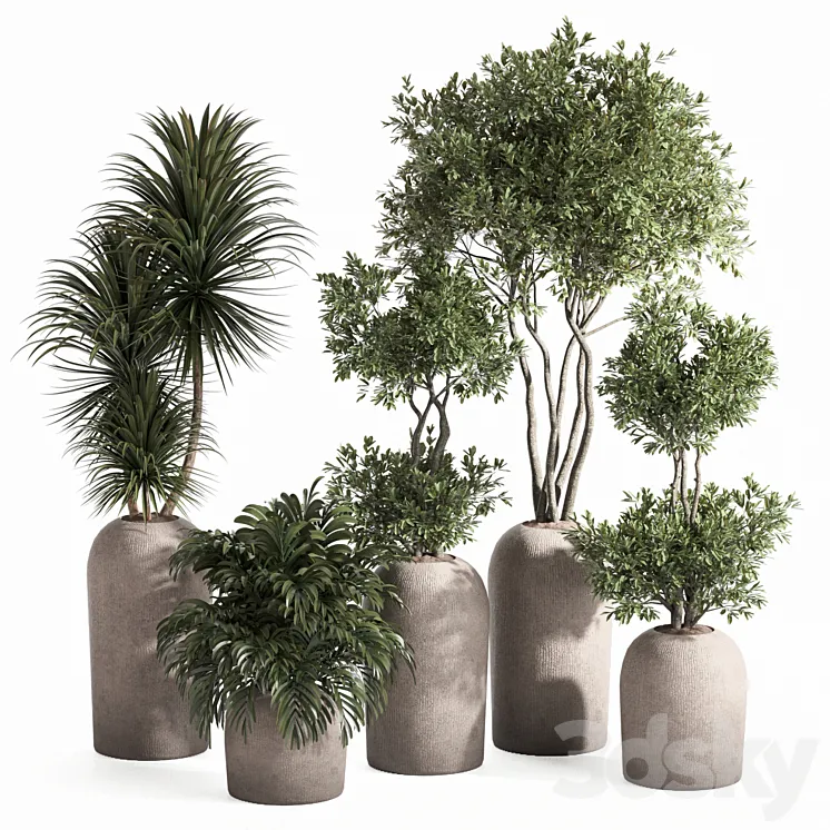 indoor plant set 3D Model Free Download