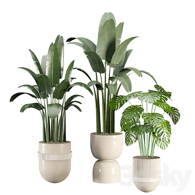 indoor-plant-set 3D Model