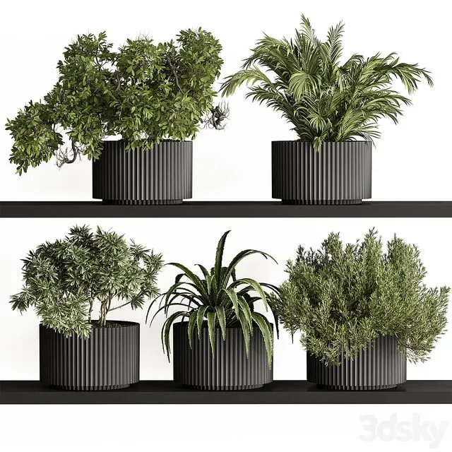 indoor Plant Set 402 – Small Plant pot 3D Model indoor Plant Set 402 – Small Plant pot 3D Model