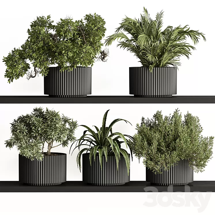 indoor Plant Set 402 – Small Plant pot 3D Model Free Download indoor Plant Set 402 – Small Plant pot 3D Model Free Download