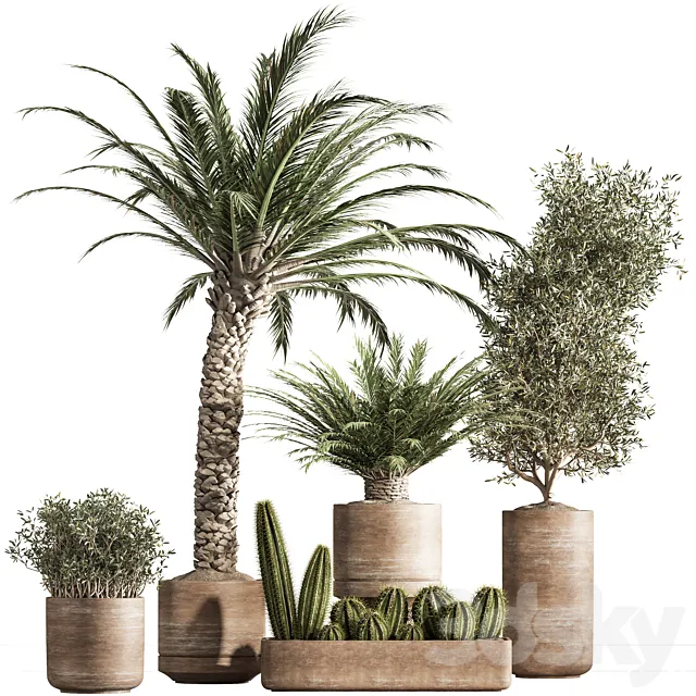 indoor plant set 41 3D Model indoor plant set 41 3D Model