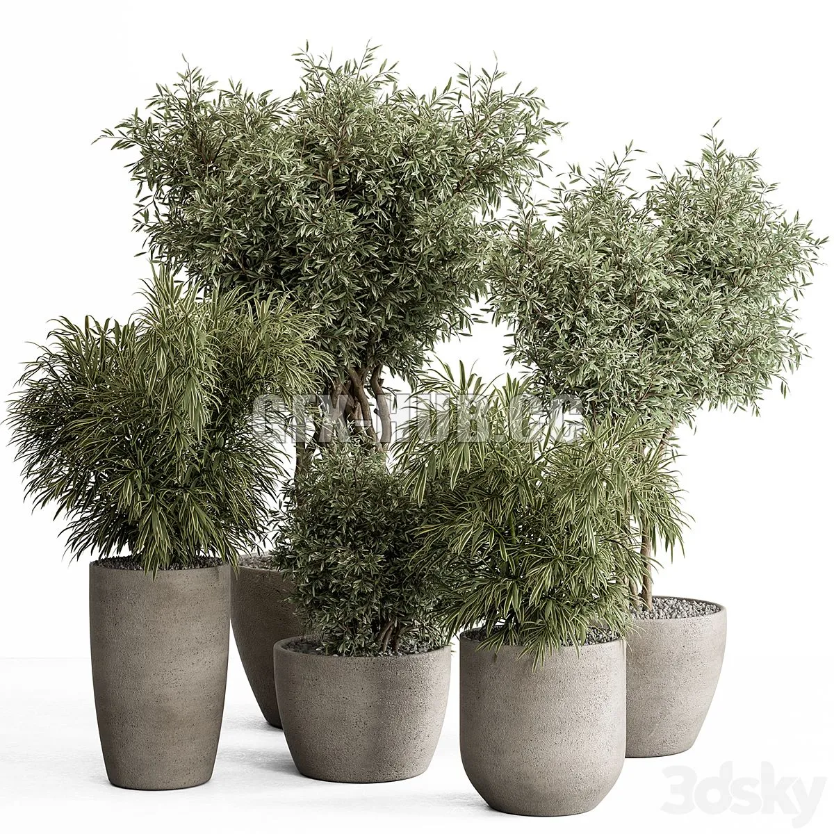 indoor Plant Set 417 – Tree and Bush 3D Model indoor Plant Set 417 – Tree and Bush 3D Model