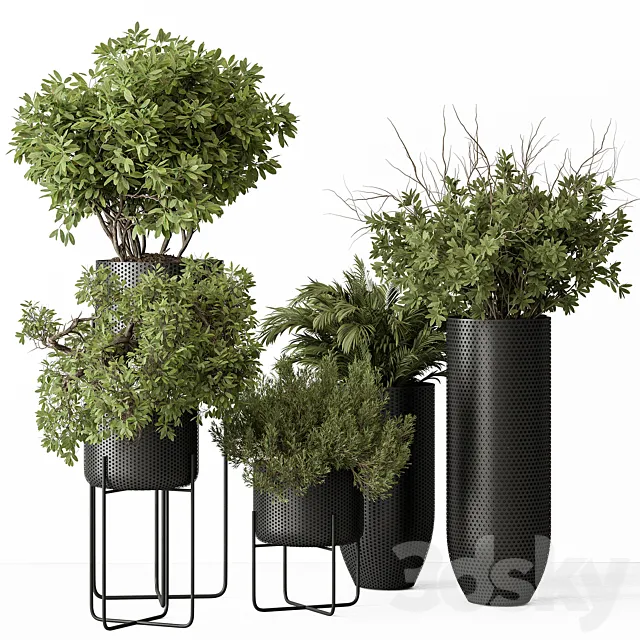 indoor Plant Set 427 – Tree and Bush 3D Model indoor Plant Set 427 – Tree and Bush 3D Model