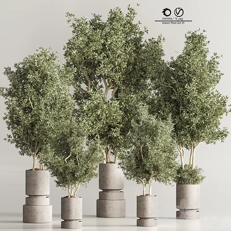 Indoor Plant Set 44 3D Model Free Download