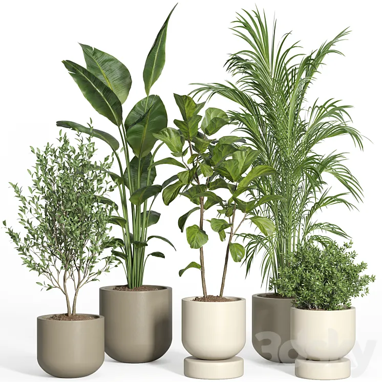 Plant Free 3D Models Download