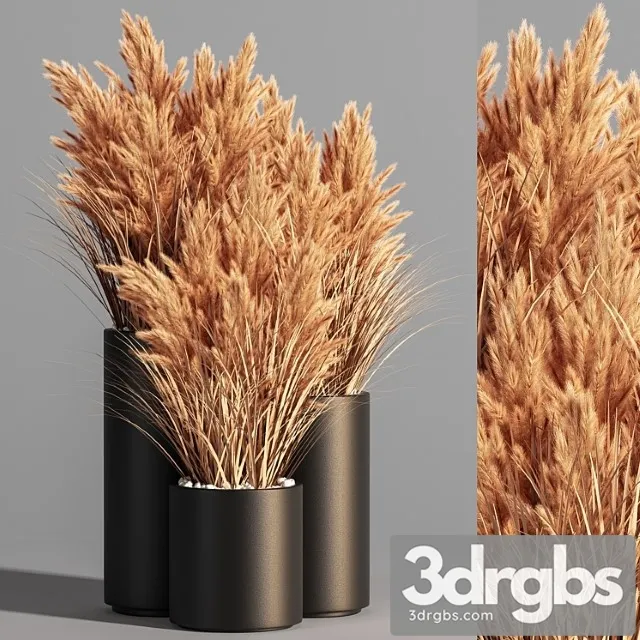 Indoor Plant Set 48 (pampas) Indoor Plant Set 48 (pampas)