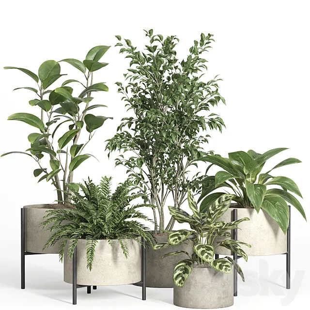 indoor plant set 52-concrete and metal pot 3D Model indoor plant set 52-concrete and metal pot 3D Model