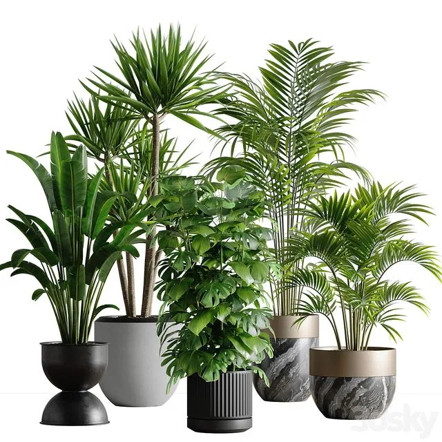 indoor plant set 53 3D Model indoor plant set 53 3D Model