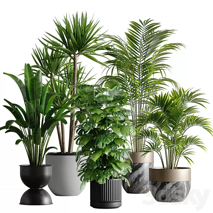 indoor plant set 53 3D Model