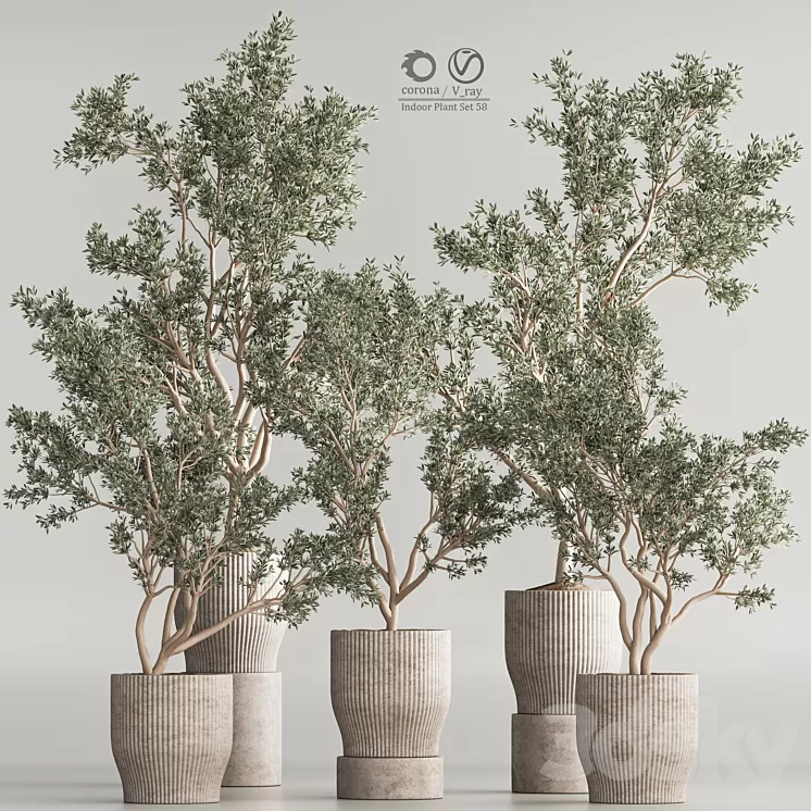 Indoor Plant Set 58 3D Model Free Download
