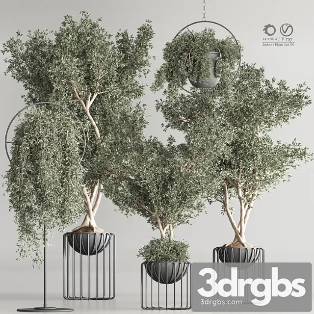 Indoor plant set 59 Indoor plant set 59