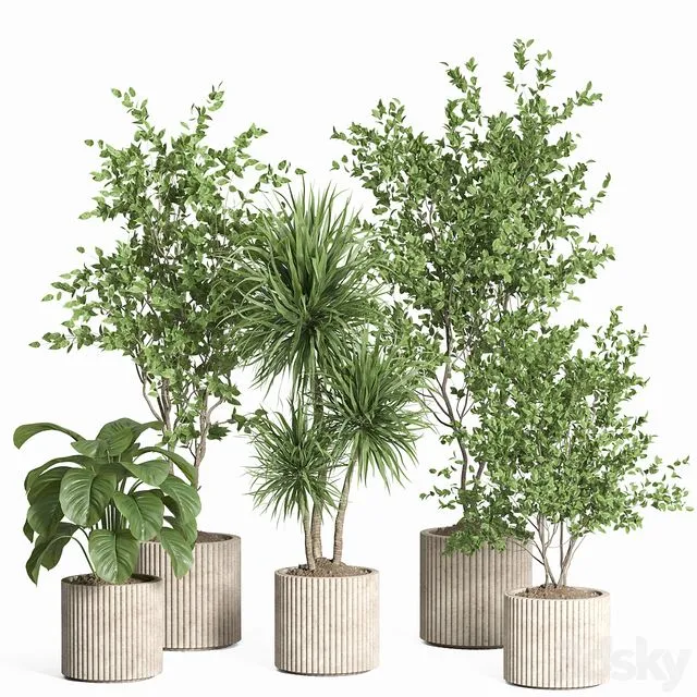 indoor plant set 59-Concrete pot 3D Model indoor plant set 59-Concrete pot 3D Model