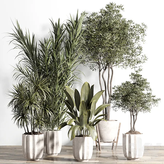 indoor plant – set 60 3D Model indoor plant – set 60 3D Model