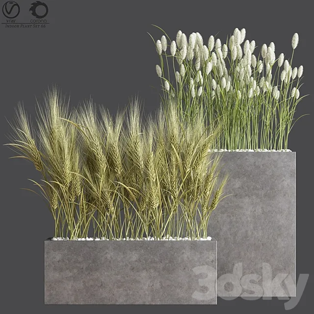Indoor Plant Set 66 3DModel Indoor Plant Set 66 3DModel