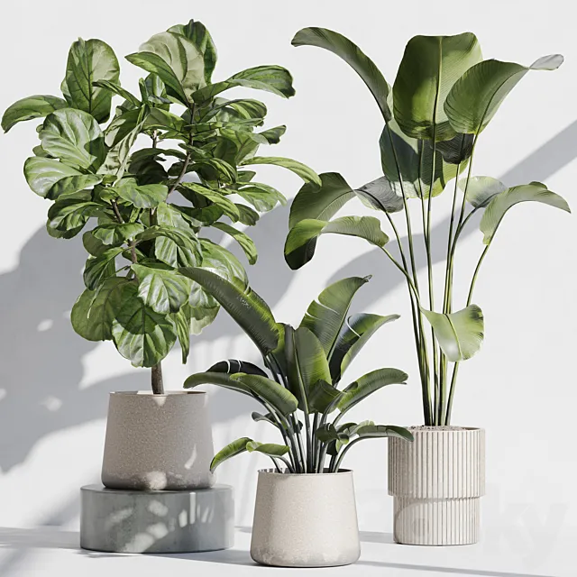 indoor plant set 67 3D Model