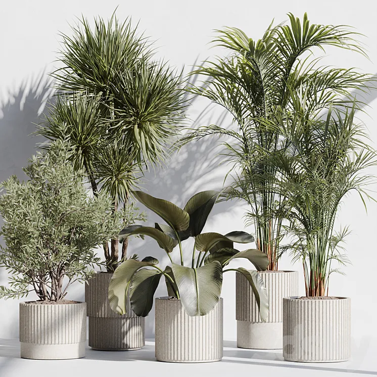 indoor plant set 72 3D Model Free Download