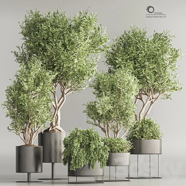 Indoor Plant Set 74(Corona) 3D Model Indoor Plant Set 74(Corona) 3D Model