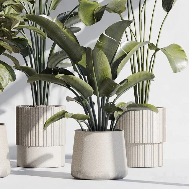 indoor plant set 75 3D Model indoor plant set 75 3D Model