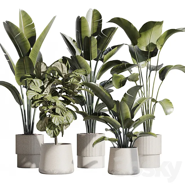indoor plant set 75 3D Model