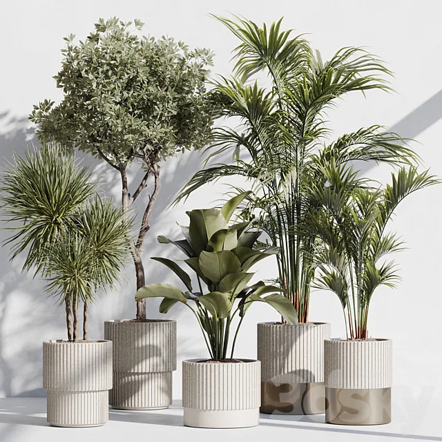 indoor plant set 78 3D Model indoor plant set 78 3D Model