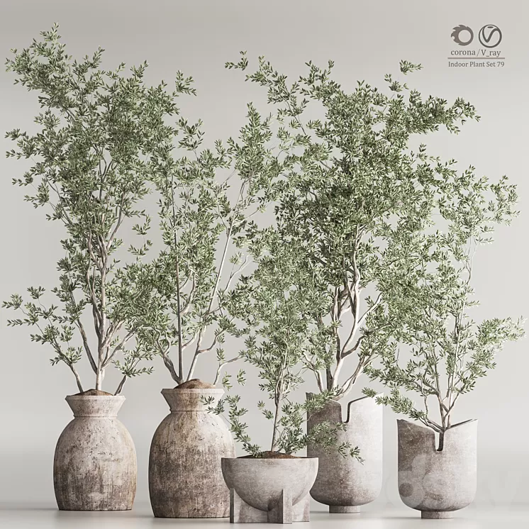 Indoor Plant Set 79 3D Model Free Download Indoor Plant Set 79 3D Model Free Download