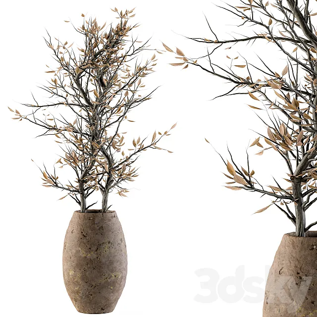 indoor Plant Set 85 – Dried Plant 3DModel
