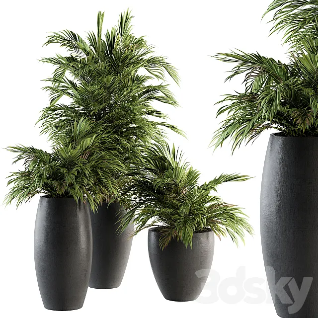 Indoor Plant Set 88 – Tropical 3D Model
