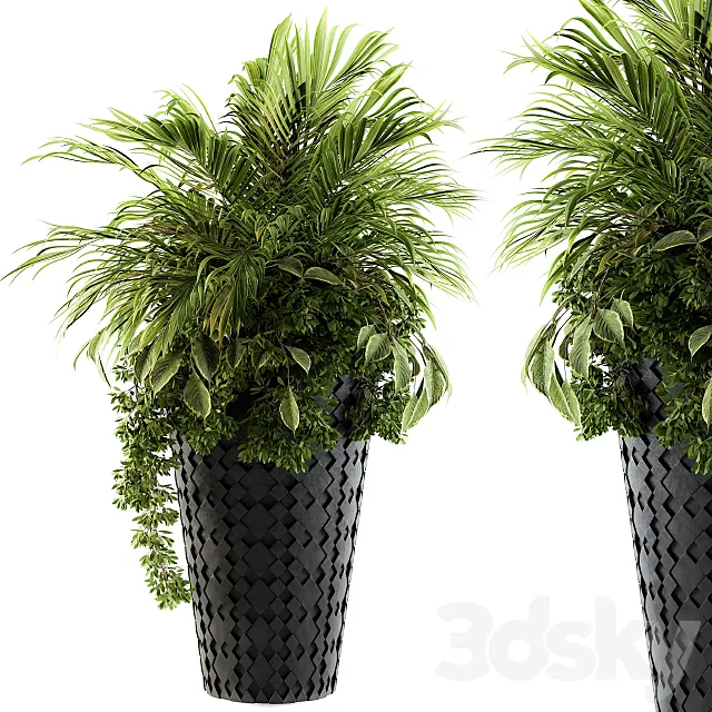 indoor Plant Set 89 – Palm Bush 3D Model