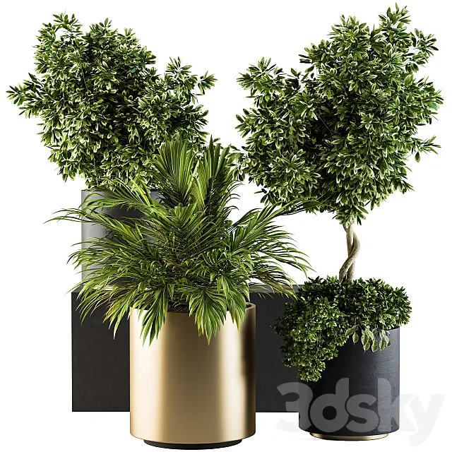 indoor Plant Set 90 – Black and Gold 3D Model