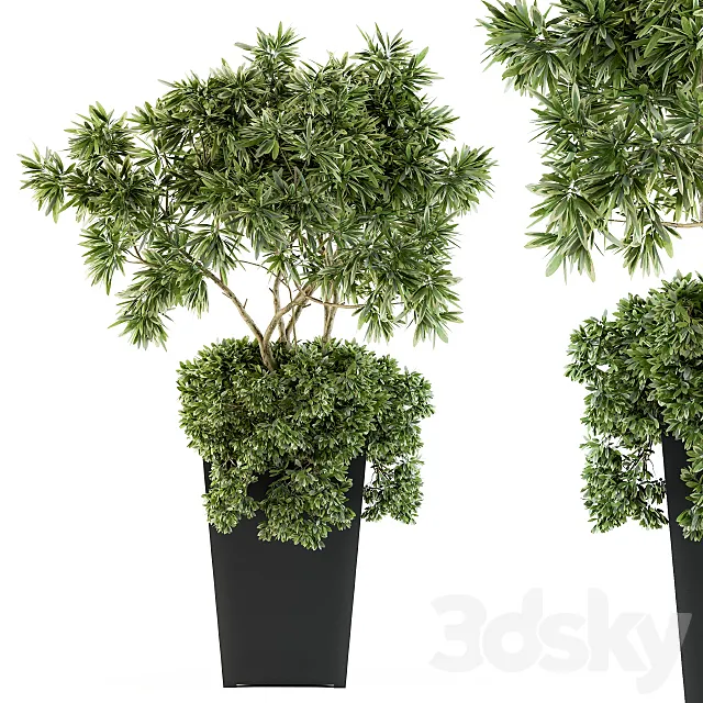 indoor Plant Set 96 – olive 3DModel