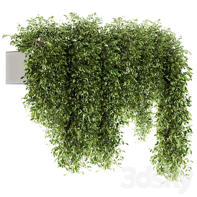 indoor Plant Set 98 – Hanging Plants 3D Model