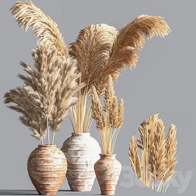 Indoor Plant Set10 3D Model