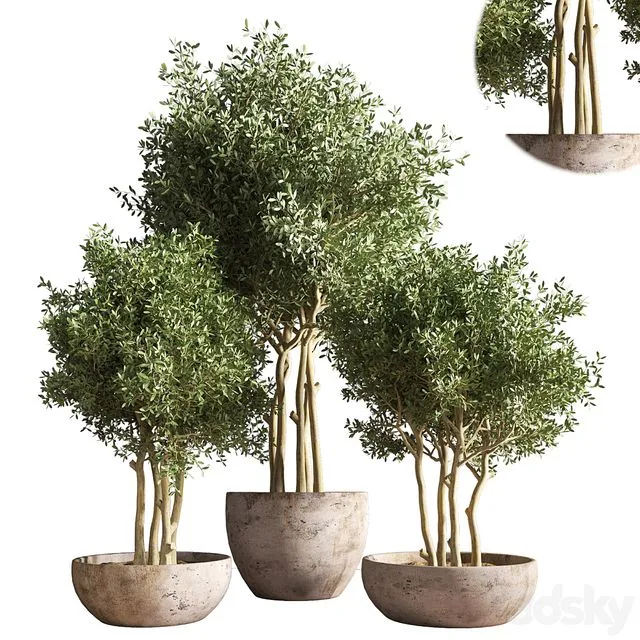 indoor plant stand 19 3D Model