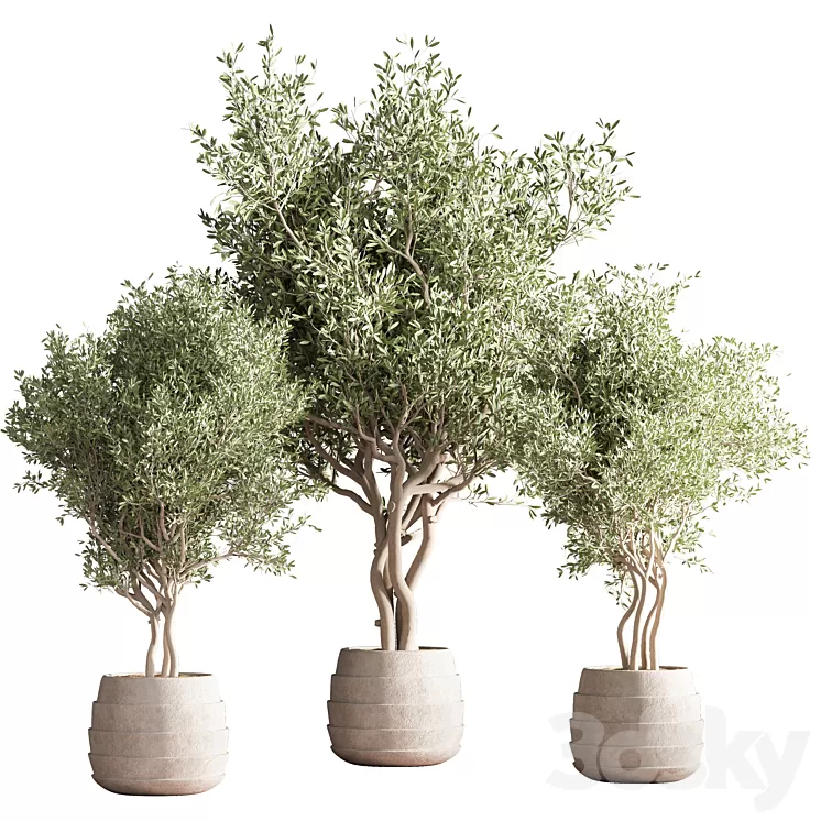 indoor plant stand 39 3D Model