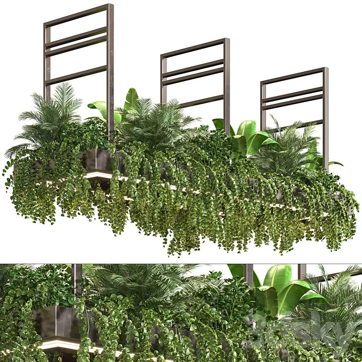 Indoor Plant Vol2 – hanging pot Vol2 3D Model