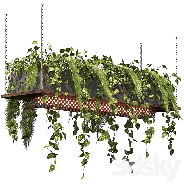 Indoor Plant Vol3 – hanging pot Vol3 3D Model Indoor Plant Vol3 – hanging pot Vol3 3D Model