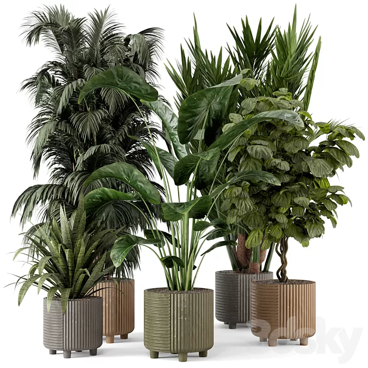 Indoor Planters in Cecilia Ficonstone Pot – Set 349 3D Model Free Download