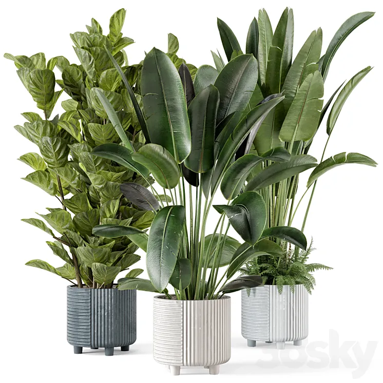 Indoor Planters in Cecilia Ficonstone Pot – Set 409 3D Model Free Download
