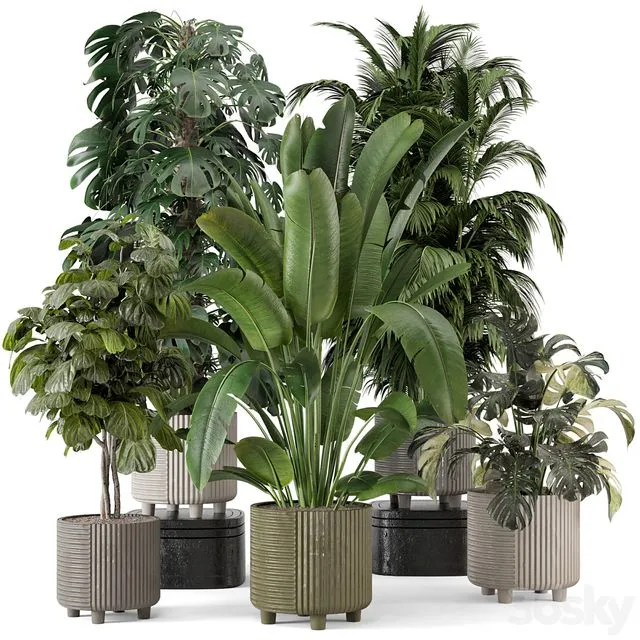 Indoor Planters in Cecilia Ficonstone Pot – Set 969 3D Model