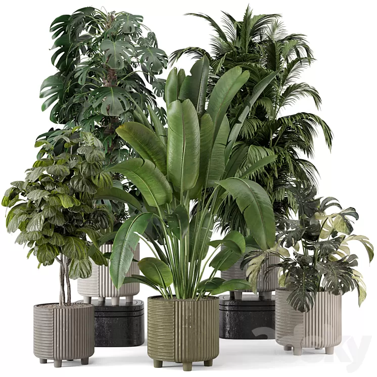 Indoor Planters in Cecilia Ficonstone Pot – Set 969 3D Model Free Download