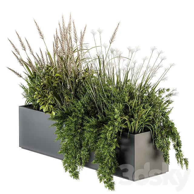 Indoor Plants Box – Set 152 3D Model