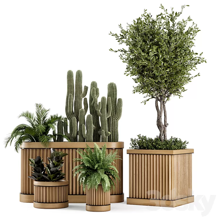Indoor Plants Bush and Tree in Wooden Pot – Set 401 3D Model Free Download