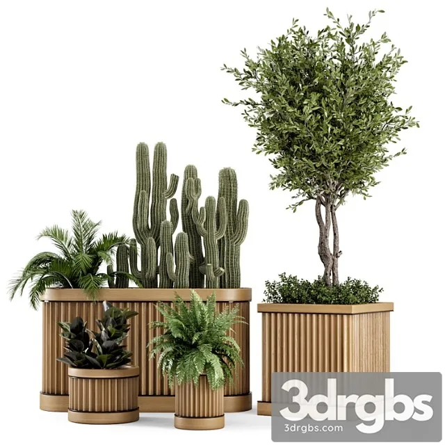 Indoor plants bush and tree in wooden pot – set 401 Indoor plants bush and tree in wooden pot – set 401