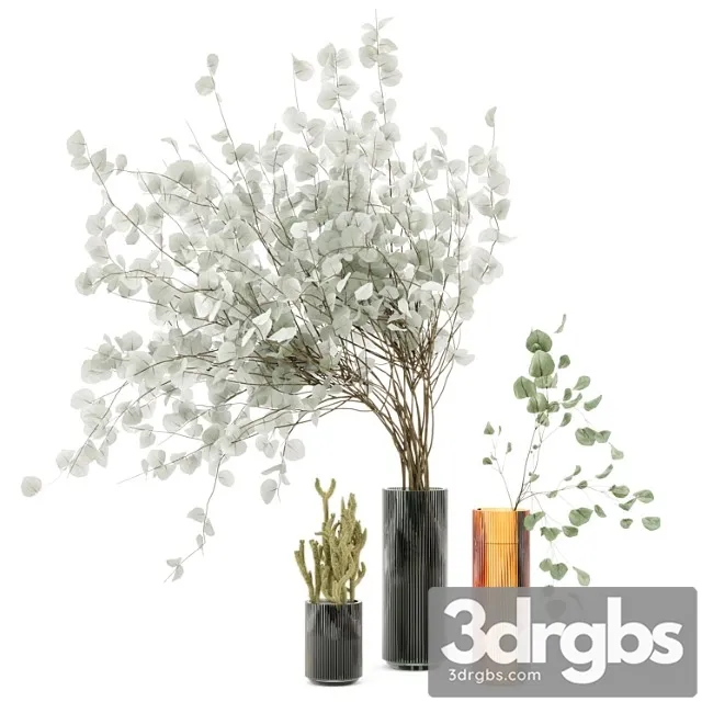 Indoor plants cactus & eucalyptus whit glass pots – set 38 Indoor plants cactus & eucalyptus whit glass pots – set 38