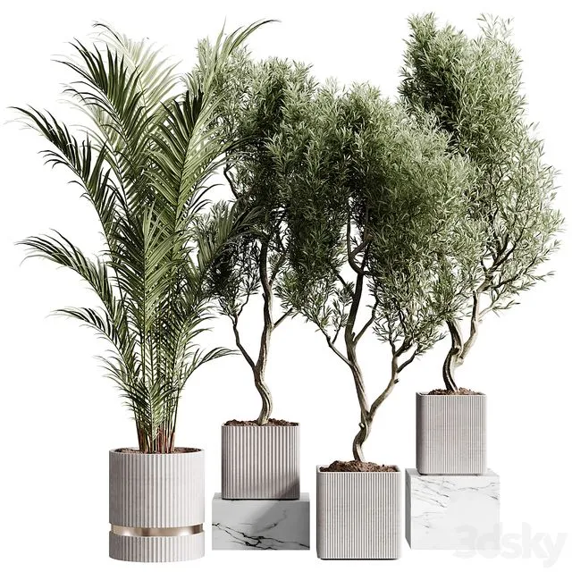 Indoor plants collection set 01 3D Model