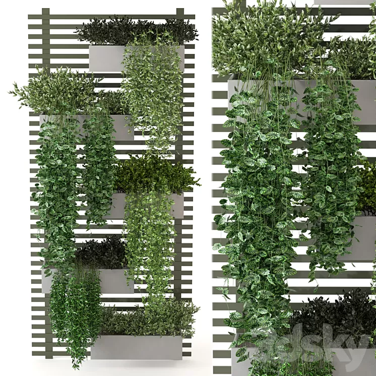 Indoor Plants Collection – Set 393 3D Model Free Download Indoor Plants Collection – Set 393 3D Model Free Download