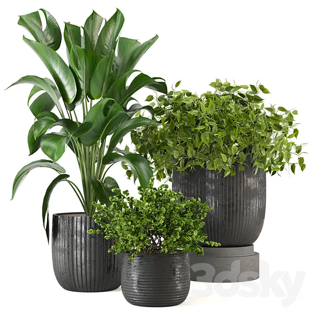 Indoor Plants Collection – Set 409 3D Model Indoor Plants Collection – Set 409 3D Model
