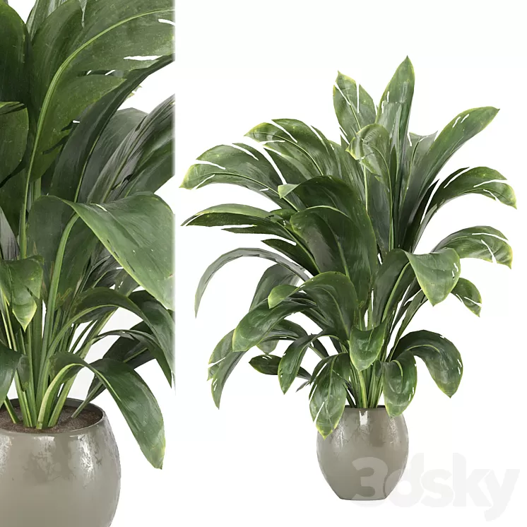 indoor Plants Collection – Set 586 3D Model Free Download