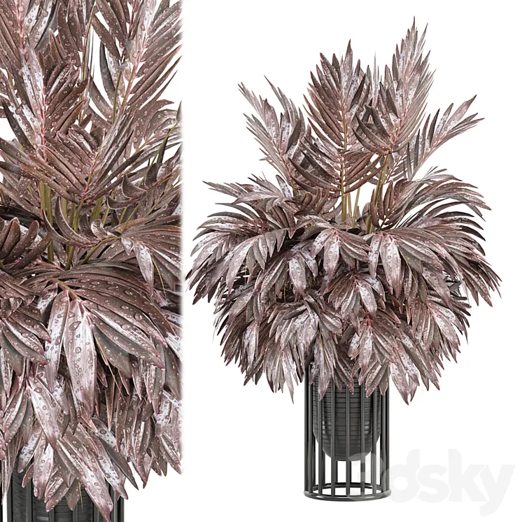 indoor Plants Collection – Set 882 3D Model Free Download