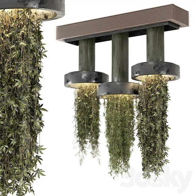 indoor Plants Collection set_12 hanging65 3D Model indoor Plants Collection set_12 hanging65 3D Model